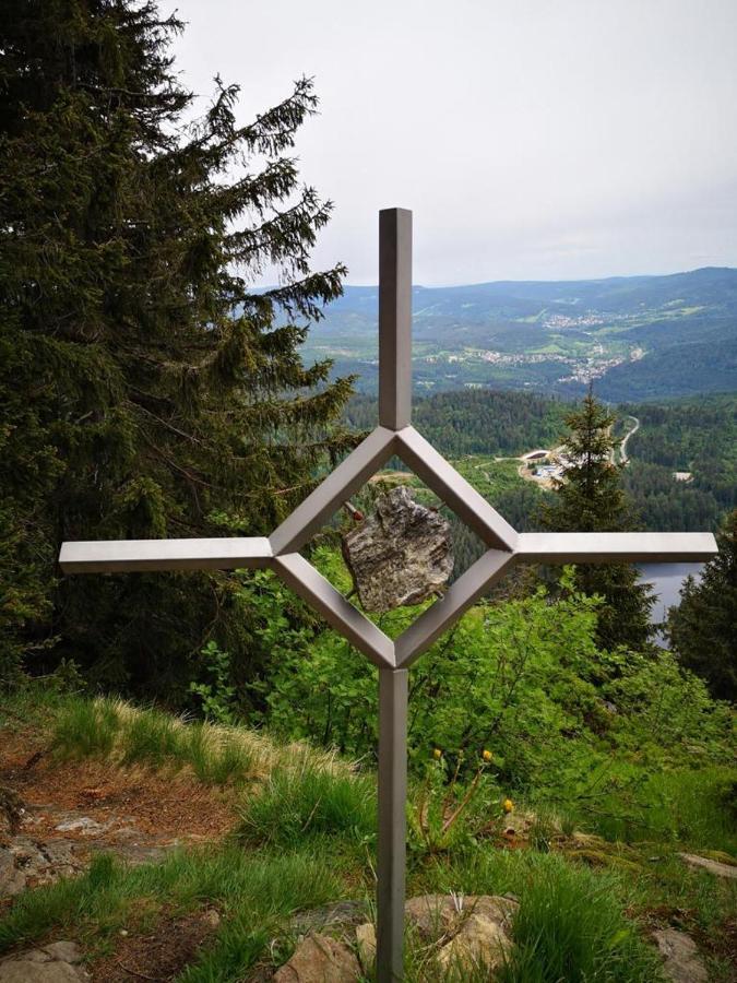 Idyllisch Gelegene Ferienwohnung Im Herzen Des Bayerischen Waldes Zachenberg Luaran gambar